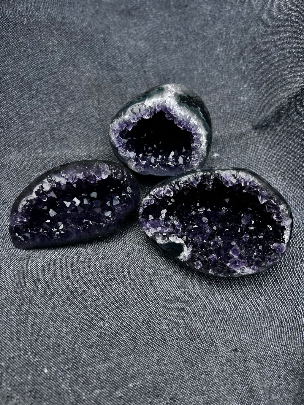 The Artigas Violet Triplet (Curated Miniature Collection)