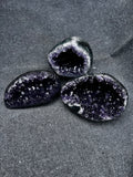 The Artigas Violet Triplet (Curated Miniature Collection)