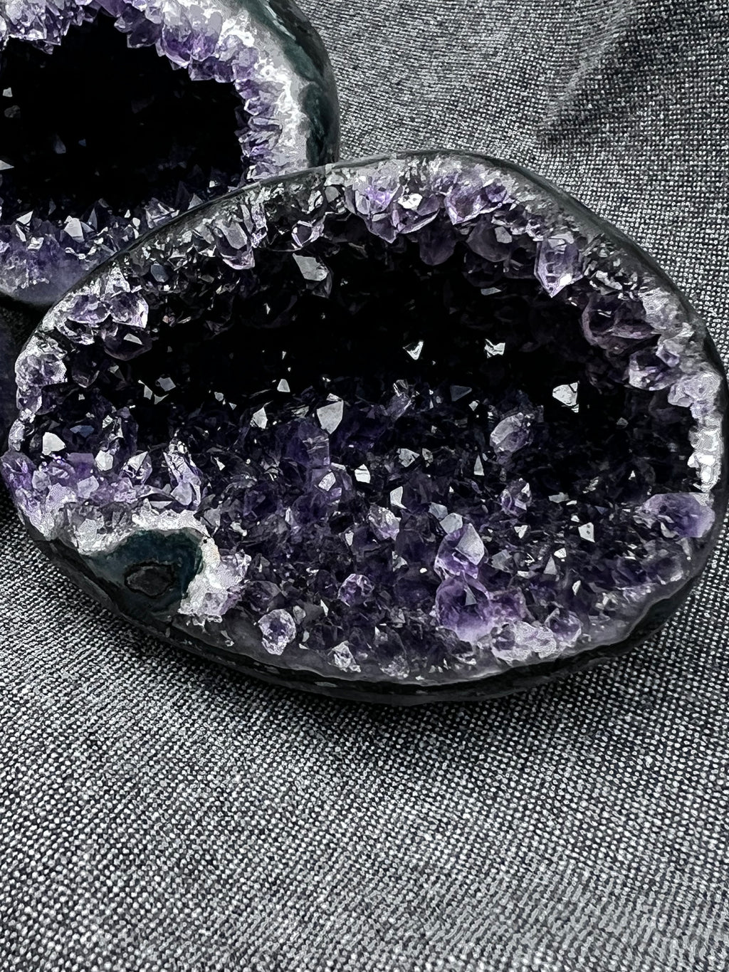 The Artigas Violet Triplet (Curated Miniature Collection)