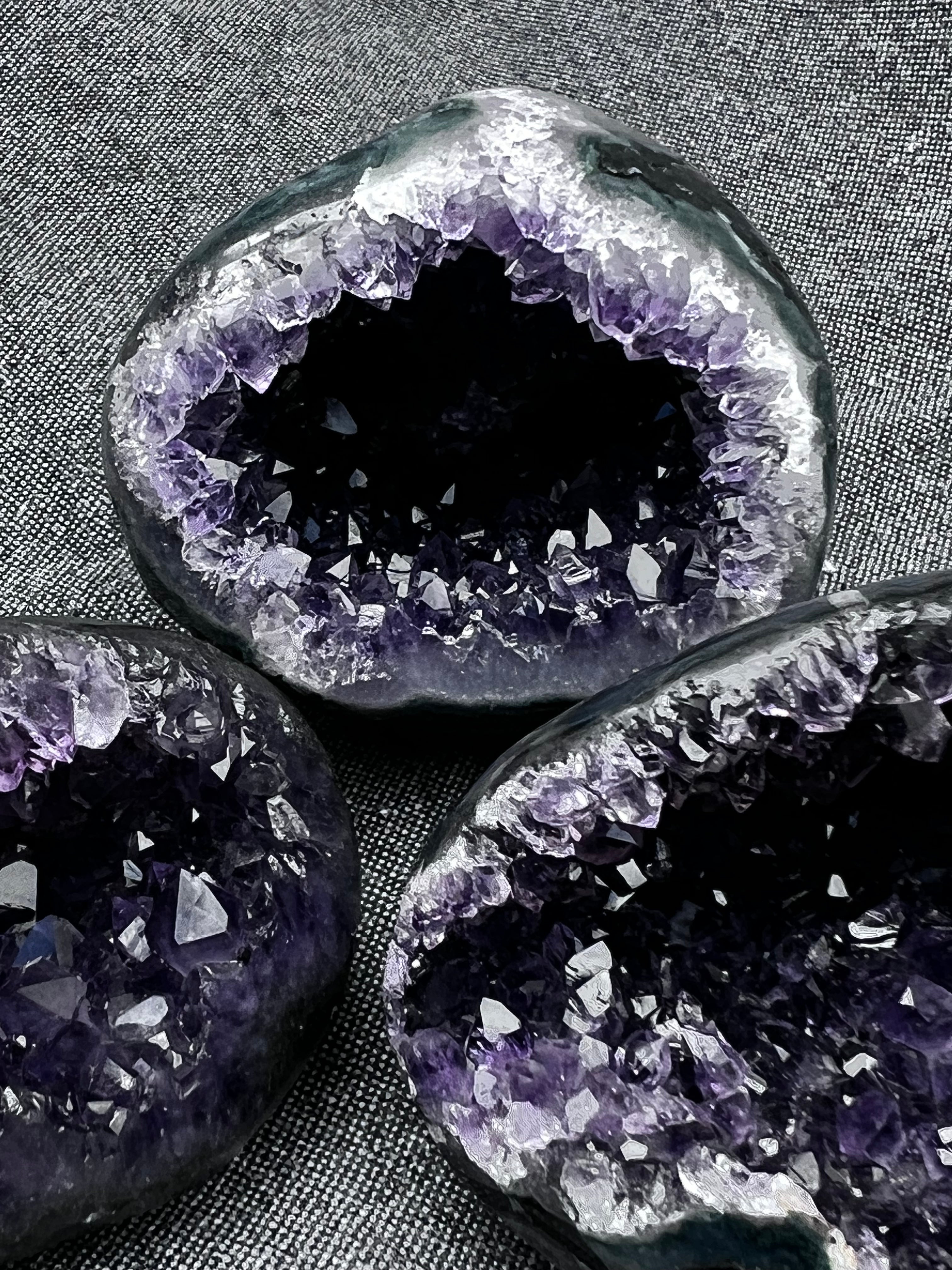 The Artigas Violet Triplet (Curated Miniature Collection)