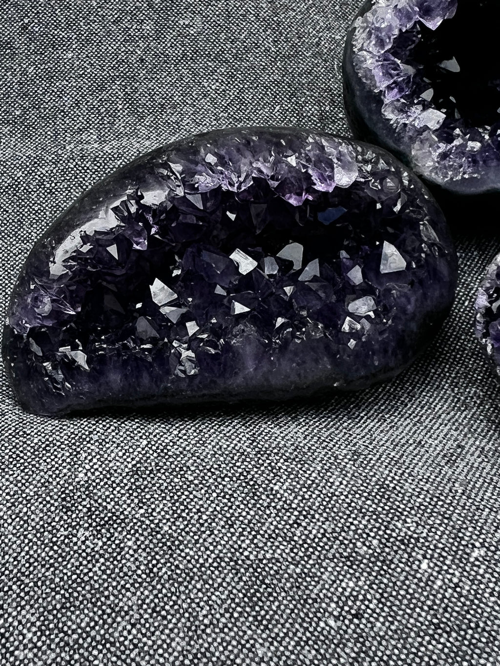 The Artigas Violet Triplet (Curated Miniature Collection)