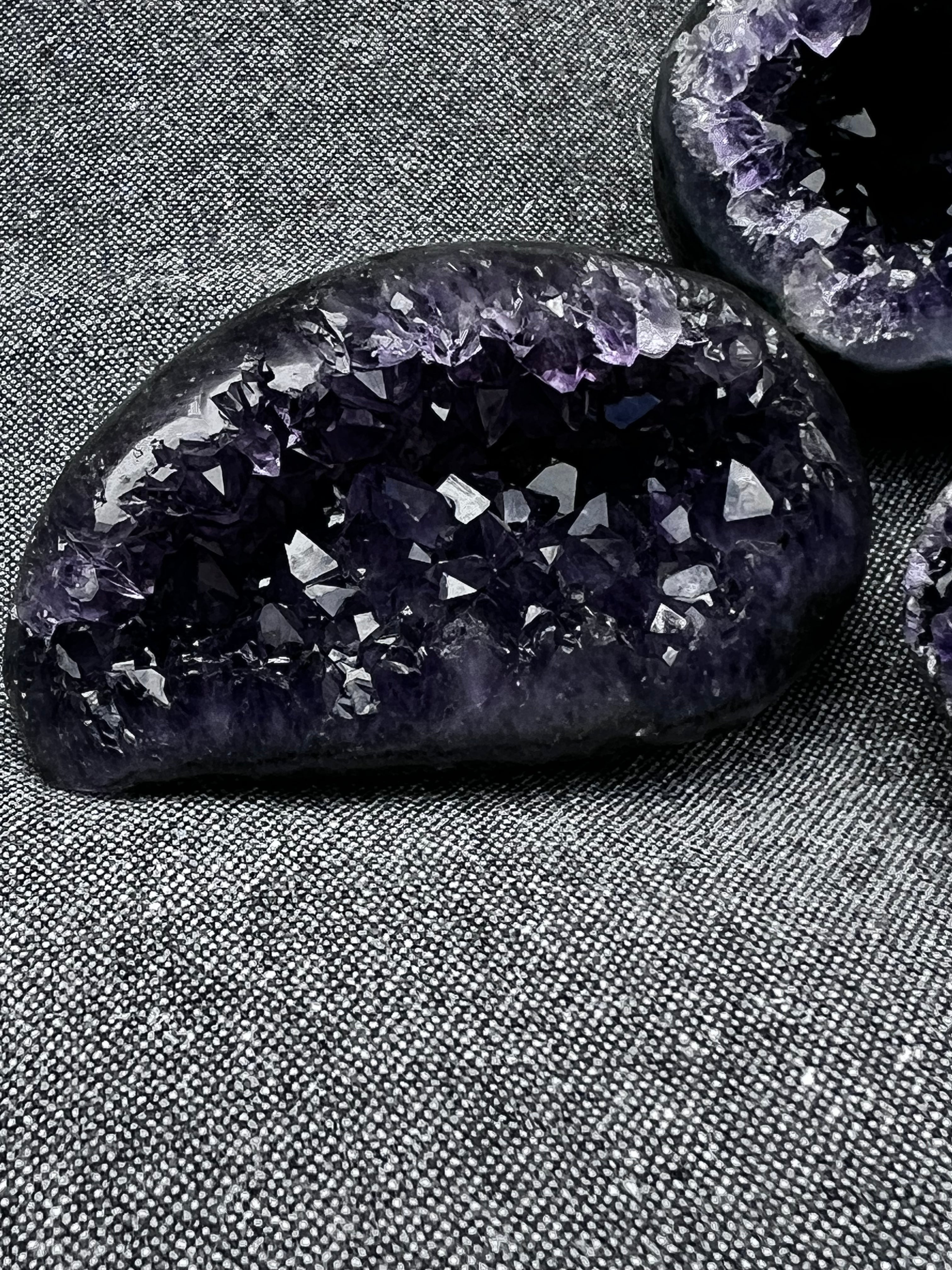 The Artigas Violet Triplet (Curated Miniature Collection)