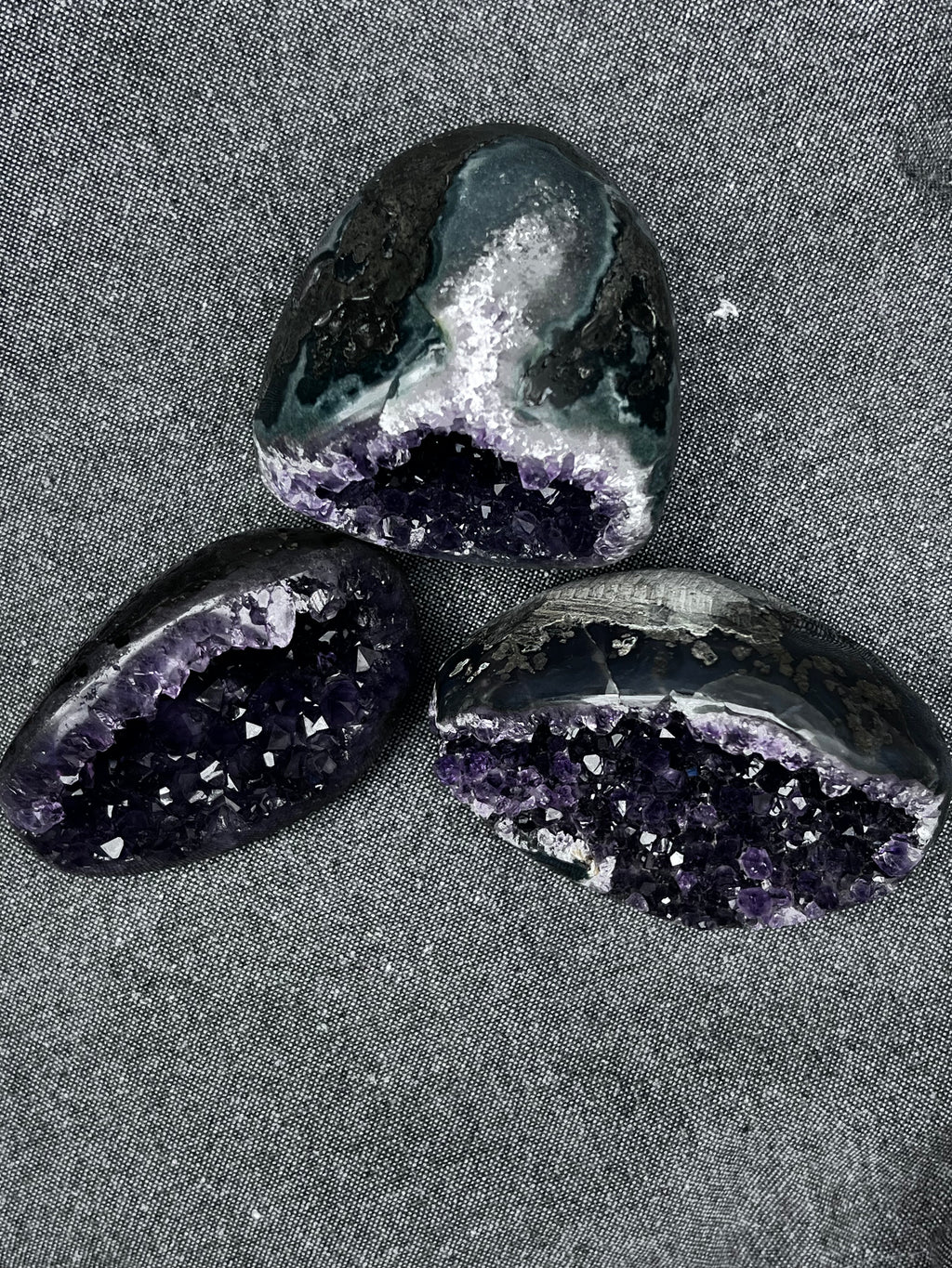 The Artigas Violet Triplet (Curated Miniature Collection)