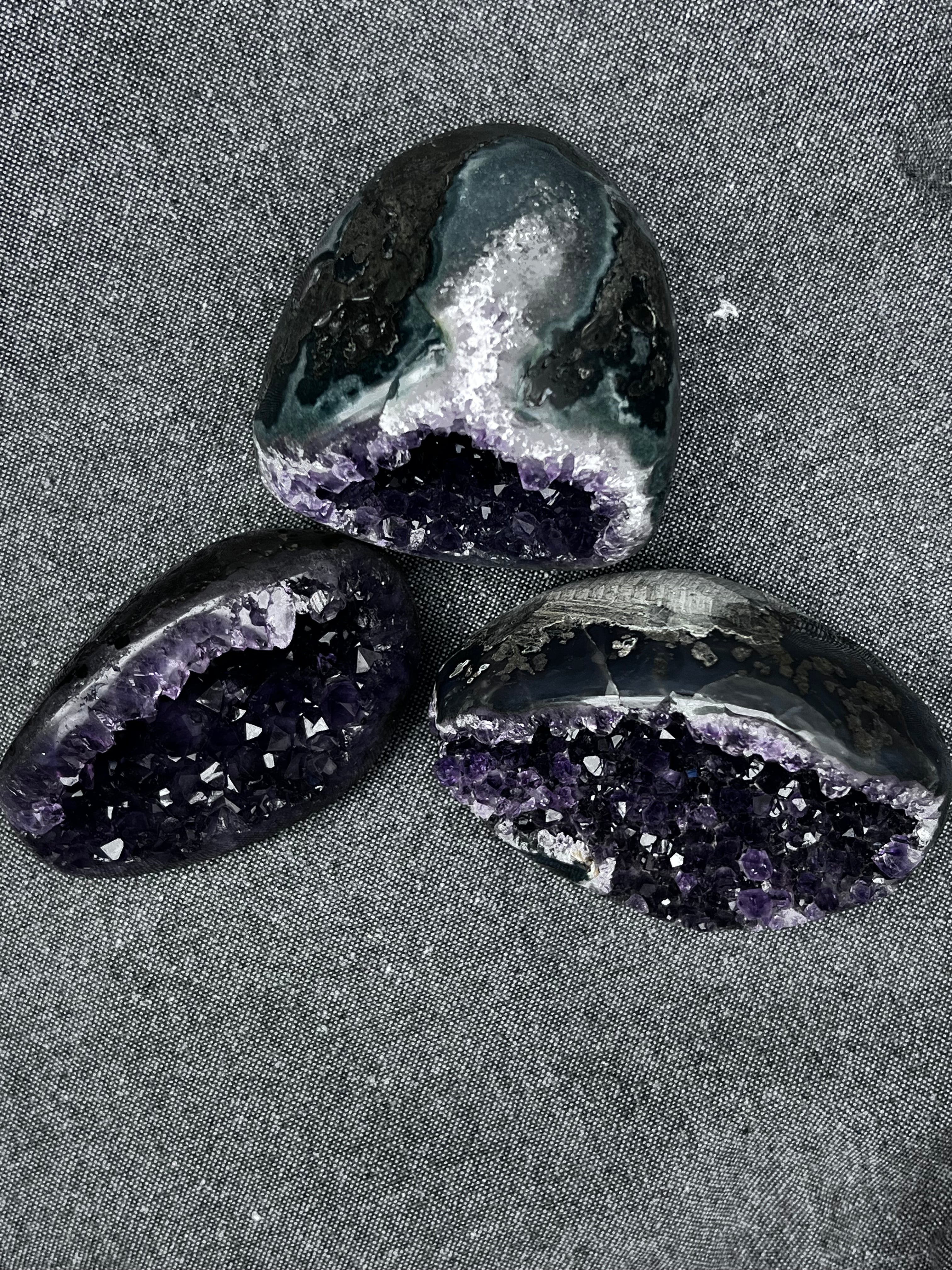 The Artigas Violet Triplet (Curated Miniature Collection)