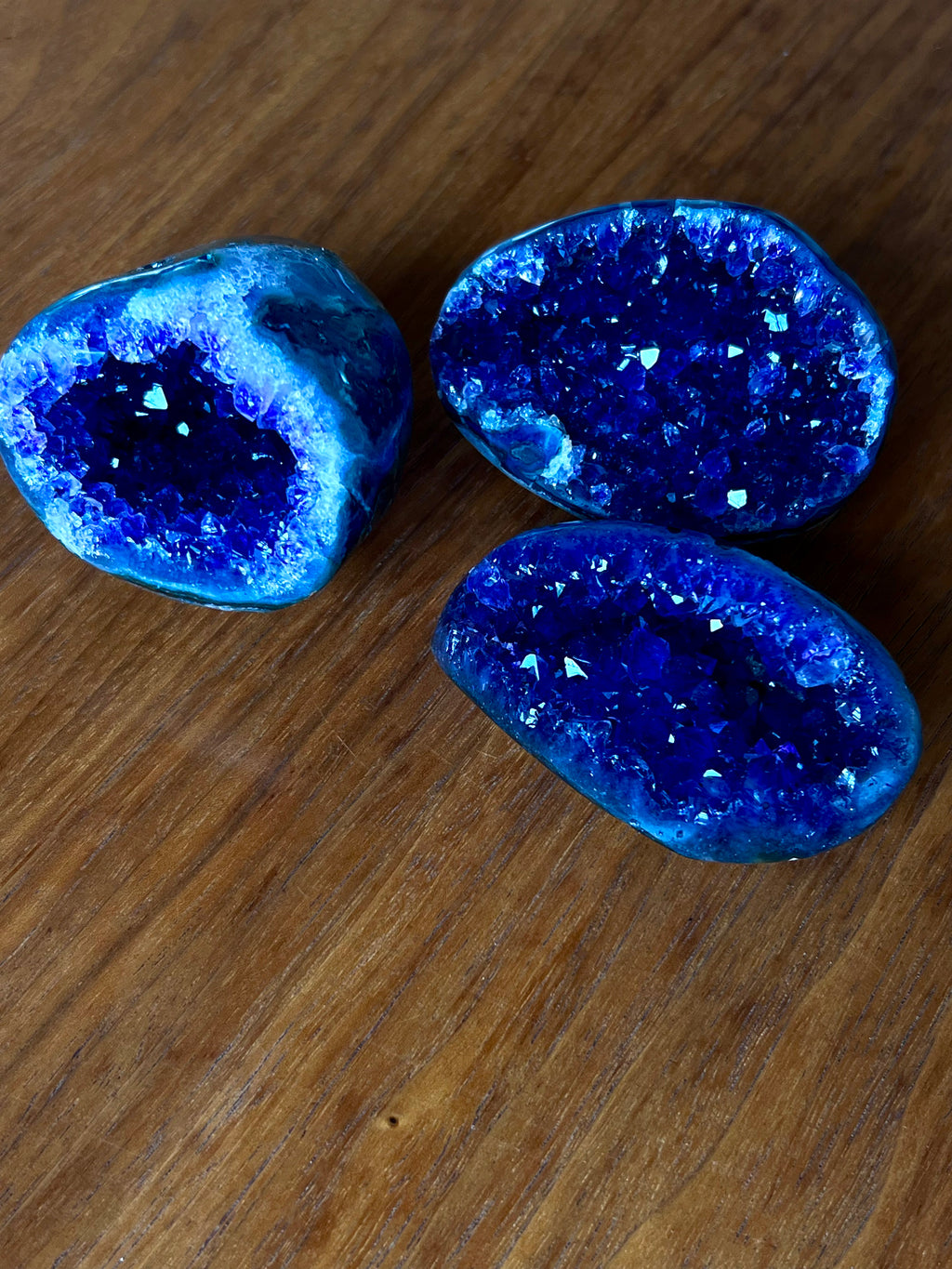 The Artigas Violet Triplet (Curated Miniature Collection)