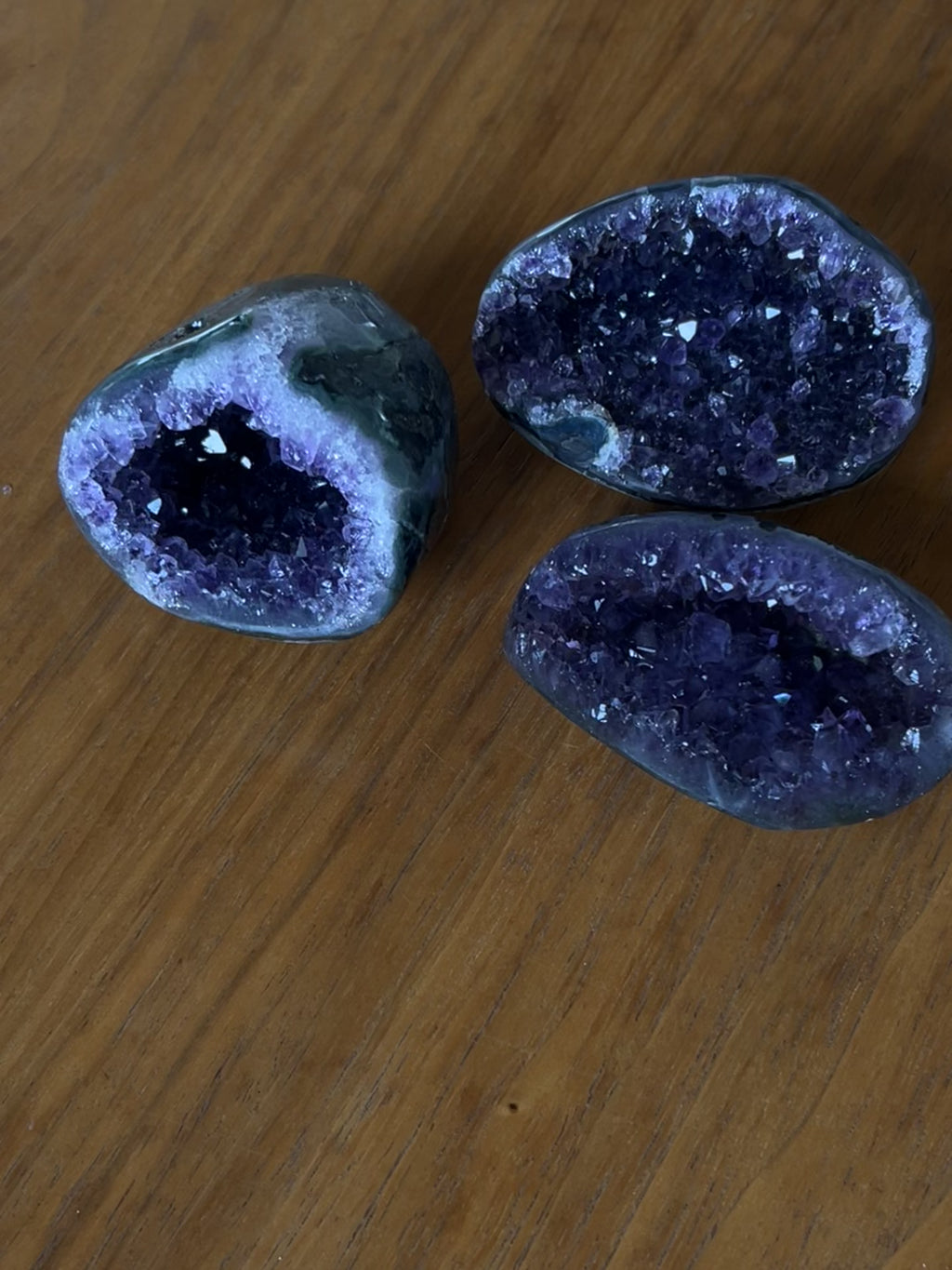 The Artigas Violet Triplet (Curated Miniature Collection)